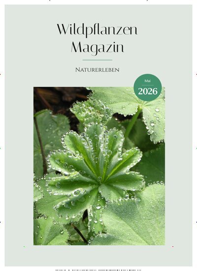Titelbild der Ausgabe 5/2026 von Wildpflanzen Magazin. Diese Zeitschrift und viele weitere Naturzeitschriften, Landwirtschaftszeitungen und Umweltmagazine als Abo oder epaper bei United Kiosk online kaufen.