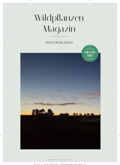 Titelbild der Ausgabe 6/2026 von Wildpflanzen Magazin. Diese Zeitschrift und viele weitere Naturzeitschriften, Landwirtschaftszeitungen und Umweltmagazine als Abo oder epaper bei United Kiosk online kaufen.