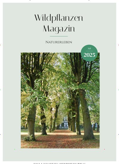 Titelbild der Ausgabe 7/2025 von Wildpflanzen Magazin. Diese Zeitschrift und viele weitere Naturzeitschriften, Landwirtschaftszeitungen und Umweltmagazine als Abo oder epaper bei United Kiosk online kaufen.