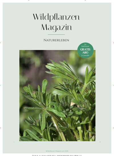 Titelbild der Ausgabe 7/2026 von Wildpflanzen Magazin. Diese Zeitschrift und viele weitere Naturzeitschriften, Landwirtschaftszeitungen und Umweltmagazine als Abo oder epaper bei United Kiosk online kaufen.
