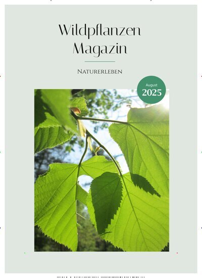 Titelbild der Ausgabe 8/2025 von Wildpflanzen Magazin. Diese Zeitschrift und viele weitere Naturzeitschriften, Landwirtschaftszeitungen und Umweltmagazine als Abo oder epaper bei United Kiosk online kaufen.