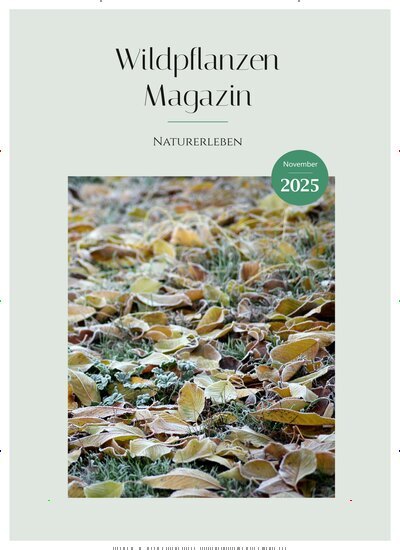 Titelbild der Ausgabe 11/2025 von Wildpflanzen Magazin. Diese Zeitschrift und viele weitere Naturzeitschriften, Landwirtschaftszeitungen und Umweltmagazine als Abo oder epaper bei United Kiosk online kaufen.