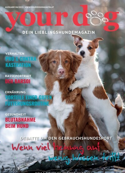 Titelbild der Ausgabe 4/2023 von your dog. Diese Zeitschrift und viele weitere Elternzeitschriften und Tierzeitschriften als Abo oder epaper bei United Kiosk online kaufen.