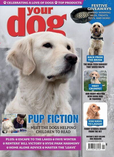 Titelbild der Ausgabe 1/2026 von Your Dog UK. Diese Zeitschrift und viele weitere Reisemagazine, Freizeitmagazine und Wissensmagazine als Abo oder epaper bei United Kiosk online kaufen.