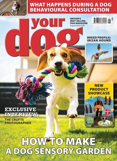Titelbild der Ausgabe 8/2025 von Your Dog UK. Diese Zeitschrift und viele weitere Reisemagazine, Freizeitmagazine und Wissensmagazine als Abo oder epaper bei United Kiosk online kaufen.