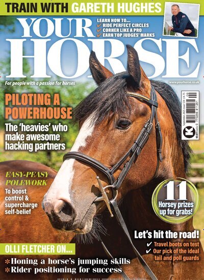 Titelbild der Ausgabe 534/2025 von Your Horse. Diese Zeitschrift und viele weitere Sportmagazine als Abo oder epaper bei United Kiosk online kaufen.