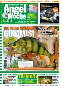 Titelbild der Ausgabe 220/2019 von AngelWoche. Diese Zeitschrift und viele weitere Sportmagazine als Abo oder epaper bei United Kiosk online kaufen.