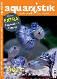Titelbild der Ausgabe 4/2022 von aquaristik. Diese Zeitschrift und viele weitere Elternzeitschriften und Tierzeitschriften als Abo oder epaper bei United Kiosk online kaufen.