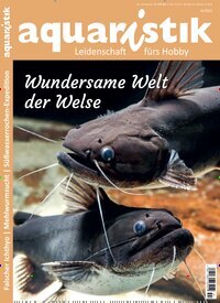 Titelbild der Ausgabe 4/2025 von aquaristik. Diese Zeitschrift und viele weitere Elternzeitschriften und Tierzeitschriften als Abo oder epaper bei United Kiosk online kaufen.