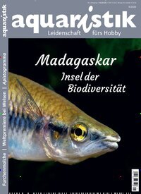 Titelbild der Ausgabe 4/2026 von aquaristik. Diese Zeitschrift und viele weitere Elternzeitschriften und Tierzeitschriften als Abo oder epaper bei United Kiosk online kaufen.