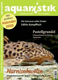 Titelbild der Ausgabe 6/2019 von aquaristik. Diese Zeitschrift und viele weitere Elternzeitschriften und Tierzeitschriften als Abo oder epaper bei United Kiosk online kaufen.
