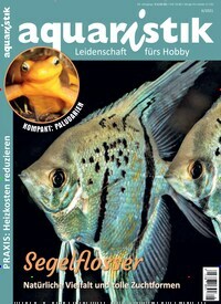 Titelbild der Ausgabe 6/2021 von aquaristik. Diese Zeitschrift und viele weitere Elternzeitschriften und Tierzeitschriften als Abo oder epaper bei United Kiosk online kaufen.