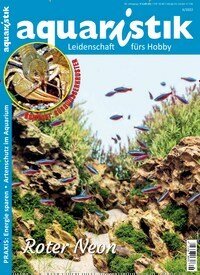 Titelbild der Ausgabe 6/2022 von aquaristik. Diese Zeitschrift und viele weitere Elternzeitschriften und Tierzeitschriften als Abo oder epaper bei United Kiosk online kaufen.