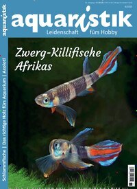 Titelbild der Ausgabe 6/2025 von aquaristik. Diese Zeitschrift und viele weitere Elternzeitschriften und Tierzeitschriften als Abo oder epaper bei United Kiosk online kaufen.