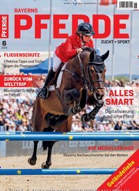 Titelbild der Ausgabe 6/2025 von Bayerns Pferde. Diese Zeitschrift und viele weitere Sportmagazine als Abo oder epaper bei United Kiosk online kaufen.