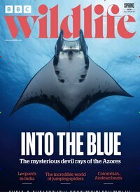 Titelbild der Ausgabe 4/2026 von BBC Wildlife. Diese Zeitschrift und viele weitere Reisemagazine, Freizeitmagazine und Wissensmagazine als Abo oder epaper bei United Kiosk online kaufen.