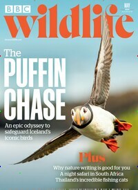 Titelbild der Ausgabe 6/2024 von BBC Wildlife. Diese Zeitschrift und viele weitere Reisemagazine, Freizeitmagazine und Wissensmagazine als Abo oder epaper bei United Kiosk online kaufen.