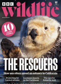 Titelbild der Ausgabe 6/2025 von BBC Wildlife. Diese Zeitschrift und viele weitere Reisemagazine, Freizeitmagazine und Wissensmagazine als Abo oder epaper bei United Kiosk online kaufen.