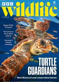 Titelbild der Ausgabe 6/2026 von BBC Wildlife. Diese Zeitschrift und viele weitere Reisemagazine, Freizeitmagazine und Wissensmagazine als Abo oder epaper bei United Kiosk online kaufen.