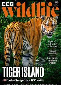 Titelbild der Ausgabe 7/2026 von BBC Wildlife. Diese Zeitschrift und viele weitere Reisemagazine, Freizeitmagazine und Wissensmagazine als Abo oder epaper bei United Kiosk online kaufen.