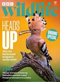 Titelbild der Ausgabe 8/2026 von BBC Wildlife. Diese Zeitschrift und viele weitere Reisemagazine, Freizeitmagazine und Wissensmagazine als Abo oder epaper bei United Kiosk online kaufen.