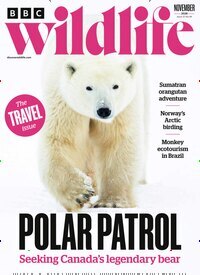 Titelbild der Ausgabe 12/2026 von BBC Wildlife. Diese Zeitschrift und viele weitere Reisemagazine, Freizeitmagazine und Wissensmagazine als Abo oder epaper bei United Kiosk online kaufen.