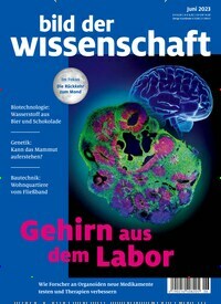 Titelbild der Ausgabe 6/2023 von bild der wissenschaft. Diese Zeitschrift und viele weitere Reisemagazine, Freizeitmagazine und Wissensmagazine als Abo oder epaper bei United Kiosk online kaufen.