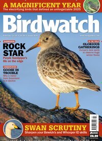 Titelbild der Ausgabe 2/2026 von Birdwatch. Diese Zeitschrift und viele weitere Reisemagazine, Freizeitmagazine und Wissensmagazine als Abo oder epaper bei United Kiosk online kaufen.