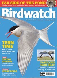 Titelbild der Ausgabe 4/2026 von Birdwatch. Diese Zeitschrift und viele weitere Reisemagazine, Freizeitmagazine und Wissensmagazine als Abo oder epaper bei United Kiosk online kaufen.