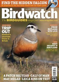 Titelbild der Ausgabe 7/2026 von Birdwatch. Diese Zeitschrift und viele weitere Reisemagazine, Freizeitmagazine und Wissensmagazine als Abo oder epaper bei United Kiosk online kaufen.