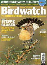 Titelbild der Ausgabe 10/2026 von Birdwatch. Diese Zeitschrift und viele weitere Reisemagazine, Freizeitmagazine und Wissensmagazine als Abo oder epaper bei United Kiosk online kaufen.