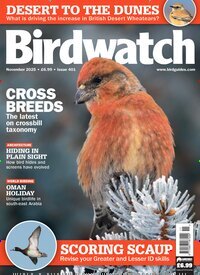 Titelbild der Ausgabe 11/2025 von Birdwatch. Diese Zeitschrift und viele weitere Reisemagazine, Freizeitmagazine und Wissensmagazine als Abo oder epaper bei United Kiosk online kaufen.