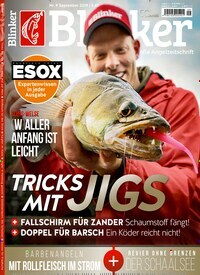 Titelbild der Ausgabe 90/2019 von Blinker. Diese Zeitschrift und viele weitere Sportmagazine als Abo oder epaper bei United Kiosk online kaufen.