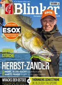 Titelbild der Ausgabe 100/2018 von Blinker. Diese Zeitschrift und viele weitere Sportmagazine als Abo oder epaper bei United Kiosk online kaufen.
