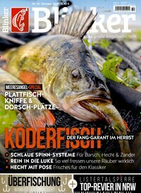 Titelbild der Ausgabe 100/2019 von Blinker. Diese Zeitschrift und viele weitere Sportmagazine als Abo oder epaper bei United Kiosk online kaufen.