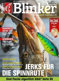 Titelbild der Ausgabe 100/2023 von Blinker. Diese Zeitschrift und viele weitere Sportmagazine als Abo oder epaper bei United Kiosk online kaufen.