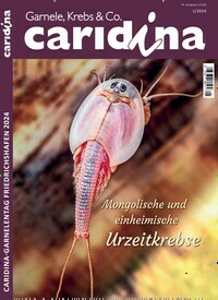 Titelbild der Ausgabe 1/2024 von caridina. Diese Zeitschrift und viele weitere Elternzeitschriften und Tierzeitschriften als Abo oder epaper bei United Kiosk online kaufen.