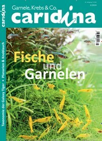 Titelbild der Ausgabe 2/2024 von caridina. Diese Zeitschrift und viele weitere Elternzeitschriften und Tierzeitschriften als Abo oder epaper bei United Kiosk online kaufen.