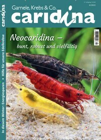 Titelbild der Ausgabe 4/2022 von caridina. Diese Zeitschrift und viele weitere Elternzeitschriften und Tierzeitschriften als Abo oder epaper bei United Kiosk online kaufen.