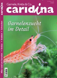 Titelbild der Ausgabe 4/2025 von caridina. Diese Zeitschrift und viele weitere Elternzeitschriften und Tierzeitschriften als Abo oder epaper bei United Kiosk online kaufen.