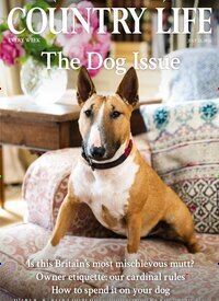 Titelbild der Ausgabe 29/2026 von Country Life. Diese Zeitschrift und viele weitere Reisemagazine, Freizeitmagazine und Wissensmagazine als Abo oder epaper bei United Kiosk online kaufen.