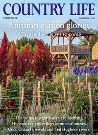 Titelbild der Ausgabe 36/2026 von Country Life. Diese Zeitschrift und viele weitere Reisemagazine, Freizeitmagazine und Wissensmagazine als Abo oder epaper bei United Kiosk online kaufen.