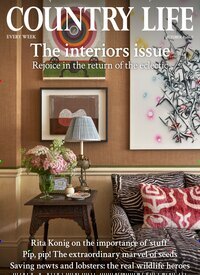 Titelbild der Ausgabe 41/2025 von Country Life. Diese Zeitschrift und viele weitere Reisemagazine, Freizeitmagazine und Wissensmagazine als Abo oder epaper bei United Kiosk online kaufen.