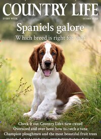 Titelbild der Ausgabe 43/2026 von Country Life. Diese Zeitschrift und viele weitere Reisemagazine, Freizeitmagazine und Wissensmagazine als Abo oder epaper bei United Kiosk online kaufen.