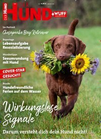Titelbild der Ausgabe 7/2025 von Der Hund. Diese Zeitschrift und viele weitere Elternzeitschriften und Tierzeitschriften als Abo oder epaper bei United Kiosk online kaufen.