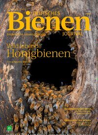 Titelbild der Ausgabe 4/2026 von Deutsches Bienenjournal. Diese Zeitschrift und viele weitere Naturzeitschriften, Landwirtschaftszeitungen und Umweltmagazine als Abo oder epaper bei United Kiosk online kaufen.