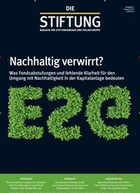 Titelbild der Ausgabe 4/2023 von DIE STIFTUNG. Diese Zeitschrift und viele weitere Businessmagazine als Abo oder epaper bei United Kiosk online kaufen.