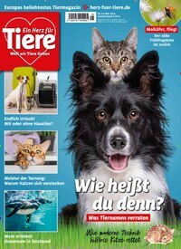 Titelbild der Ausgabe 5/2025 von Ein Herz für Tiere. Diese Zeitschrift und viele weitere Elternzeitschriften und Tierzeitschriften als Abo oder epaper bei United Kiosk online kaufen.