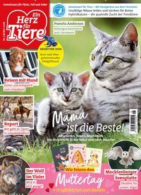 Titelbild der Ausgabe 5/2026 von Ein Herz für Tiere. Diese Zeitschrift und viele weitere Elternzeitschriften und Tierzeitschriften als Abo oder epaper bei United Kiosk online kaufen.