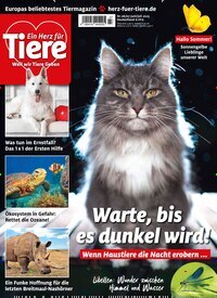 Titelbild der Ausgabe 7/2025 von Ein Herz für Tiere. Diese Zeitschrift und viele weitere Elternzeitschriften und Tierzeitschriften als Abo oder epaper bei United Kiosk online kaufen.